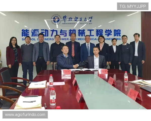 全面解析ng体育官方入口的安全登录流程与常见问题解决方案，保障您的账号安全与顺畅体验